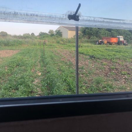 La Ferme De Rotani Ξενοδοχείο Aléria Εξωτερικό φωτογραφία
