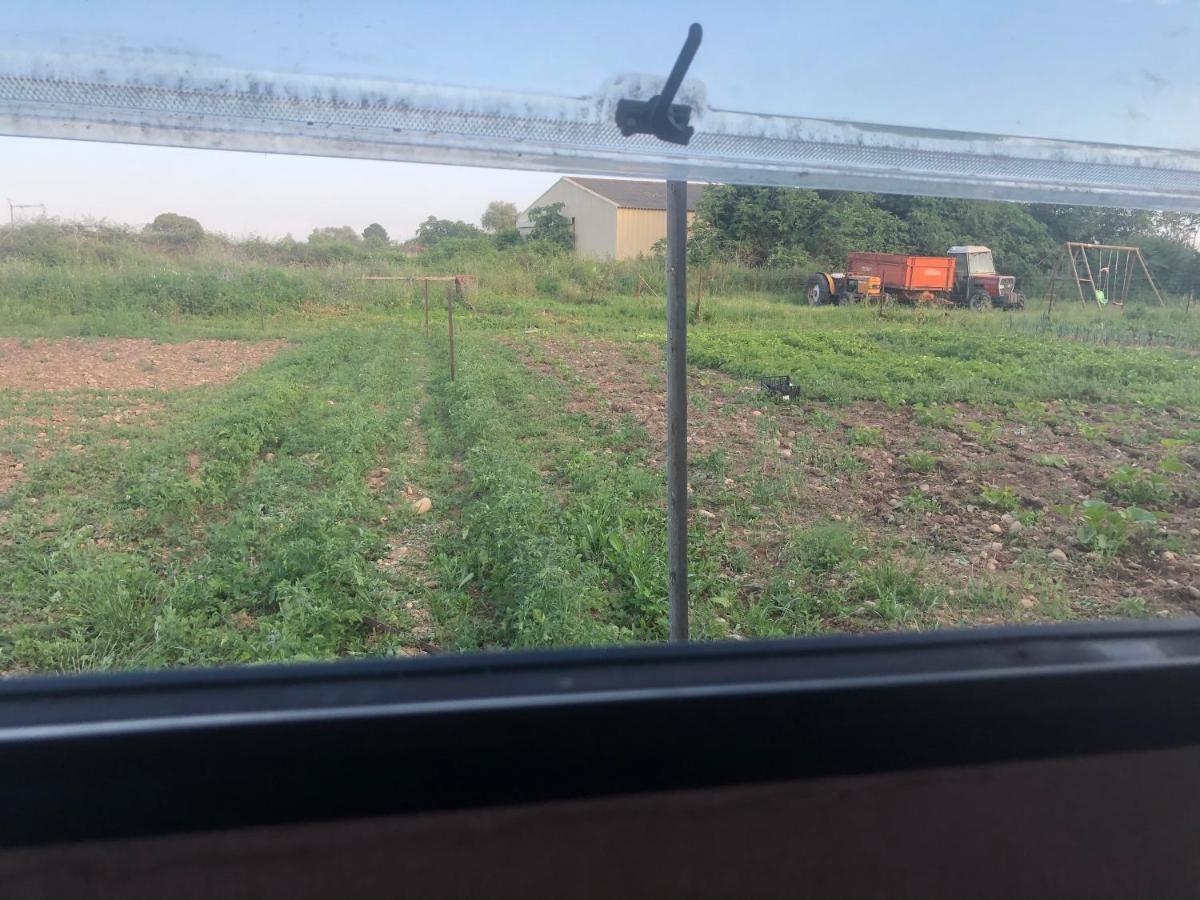 La Ferme De Rotani Ξενοδοχείο Aléria Εξωτερικό φωτογραφία