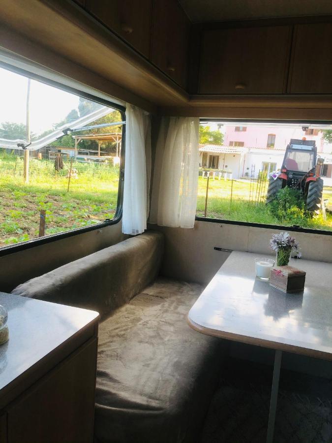 La Ferme De Rotani Ξενοδοχείο Aléria Εξωτερικό φωτογραφία