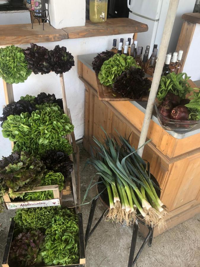 La Ferme De Rotani Ξενοδοχείο Aléria Εξωτερικό φωτογραφία